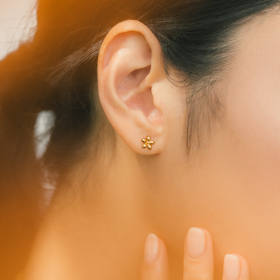 Gold Harley Cubic Studs
