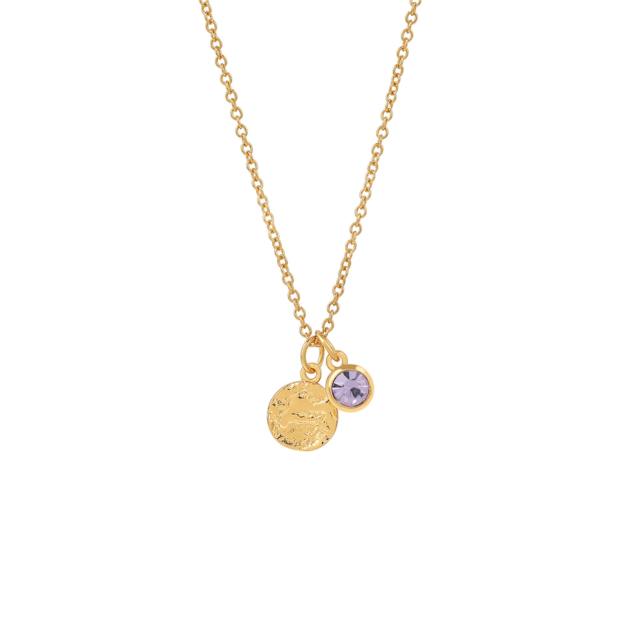 Gold Gabrielle Amethyst Necklace