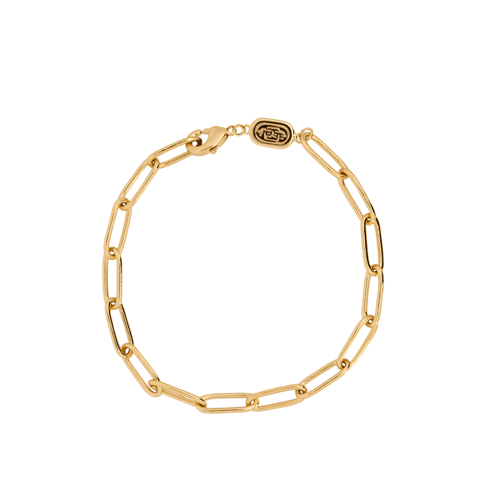 Gold Charm Link Bracelet