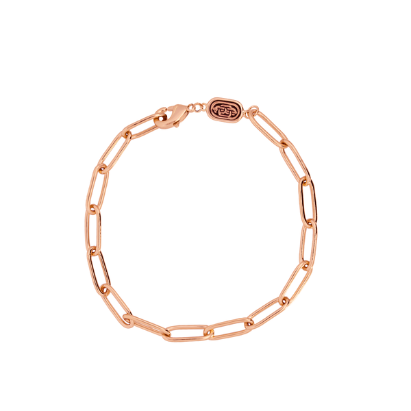 Rose Gold Charm Link Bracelet