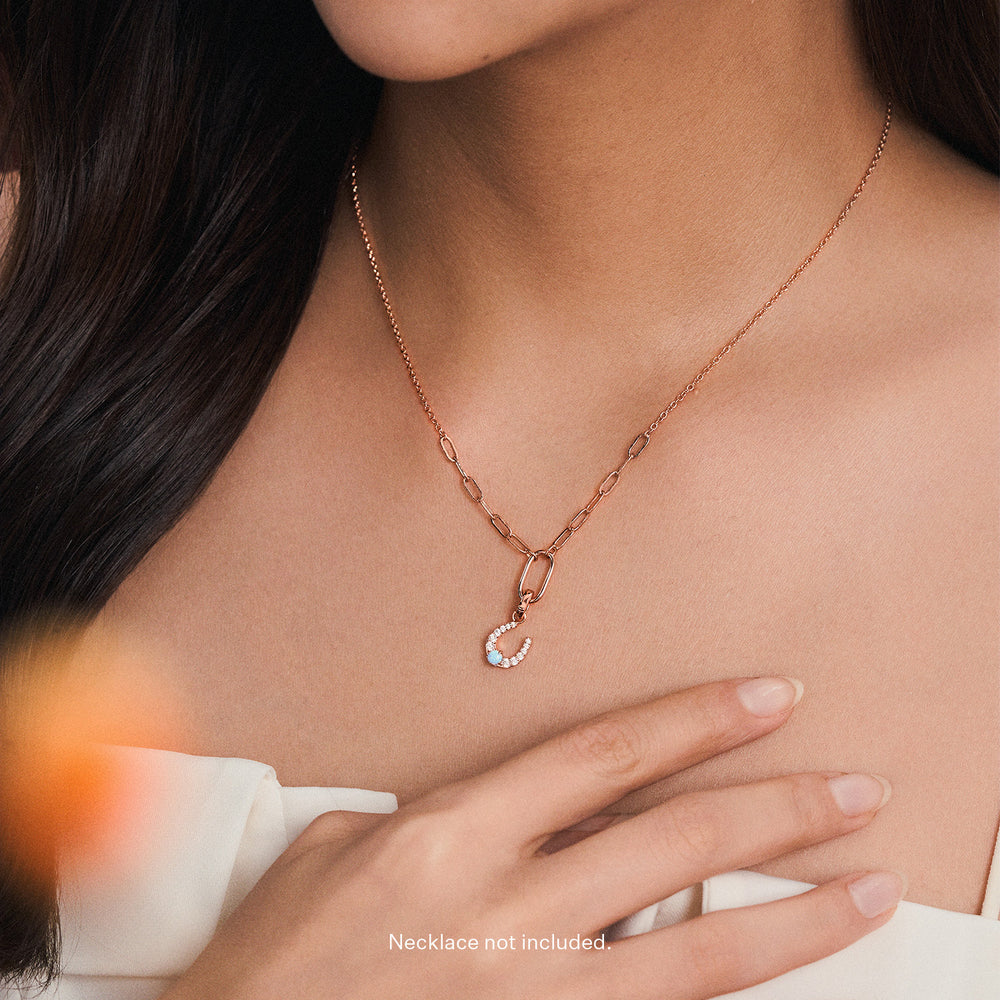 Rose Gold Horseshoe Charm