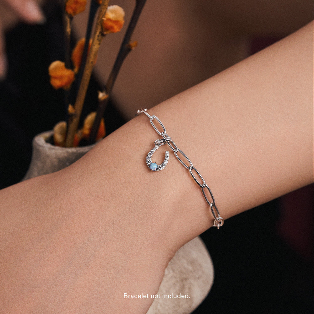 Silver Horseshoe Charm