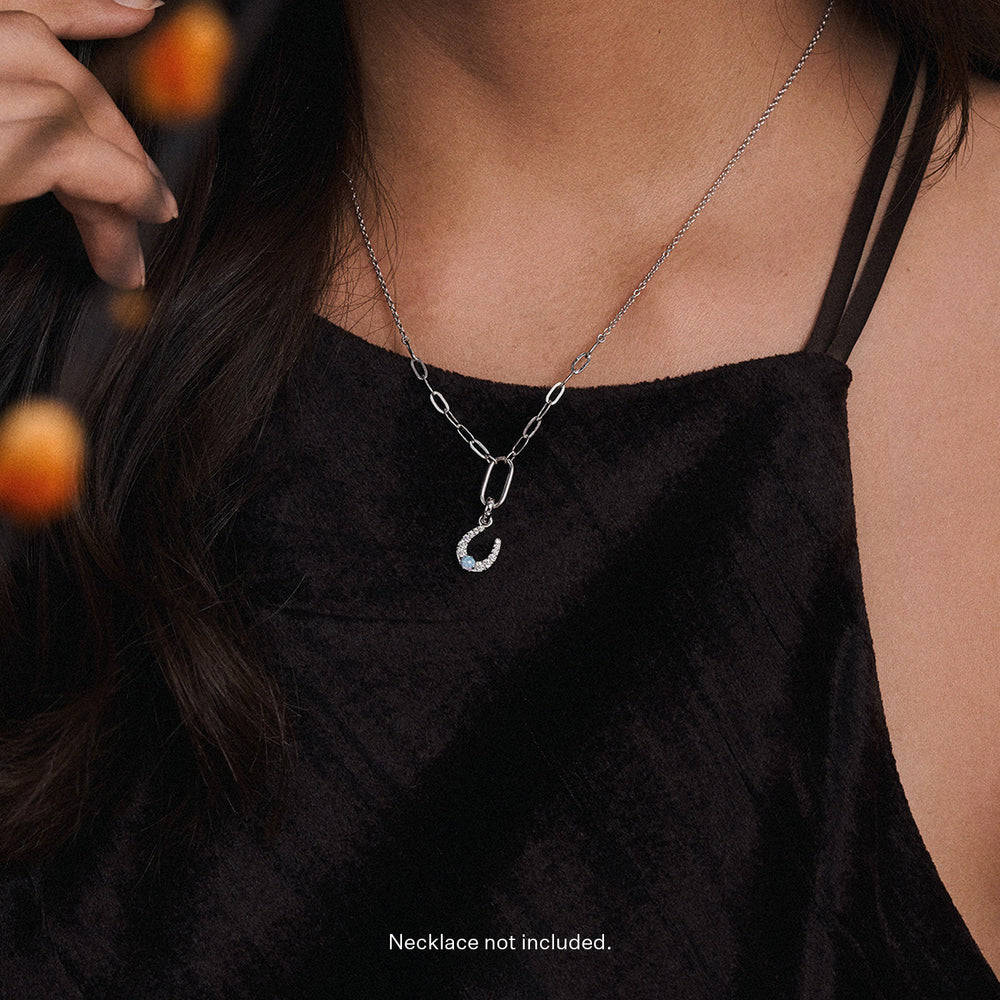 Silver Horseshoe Charm