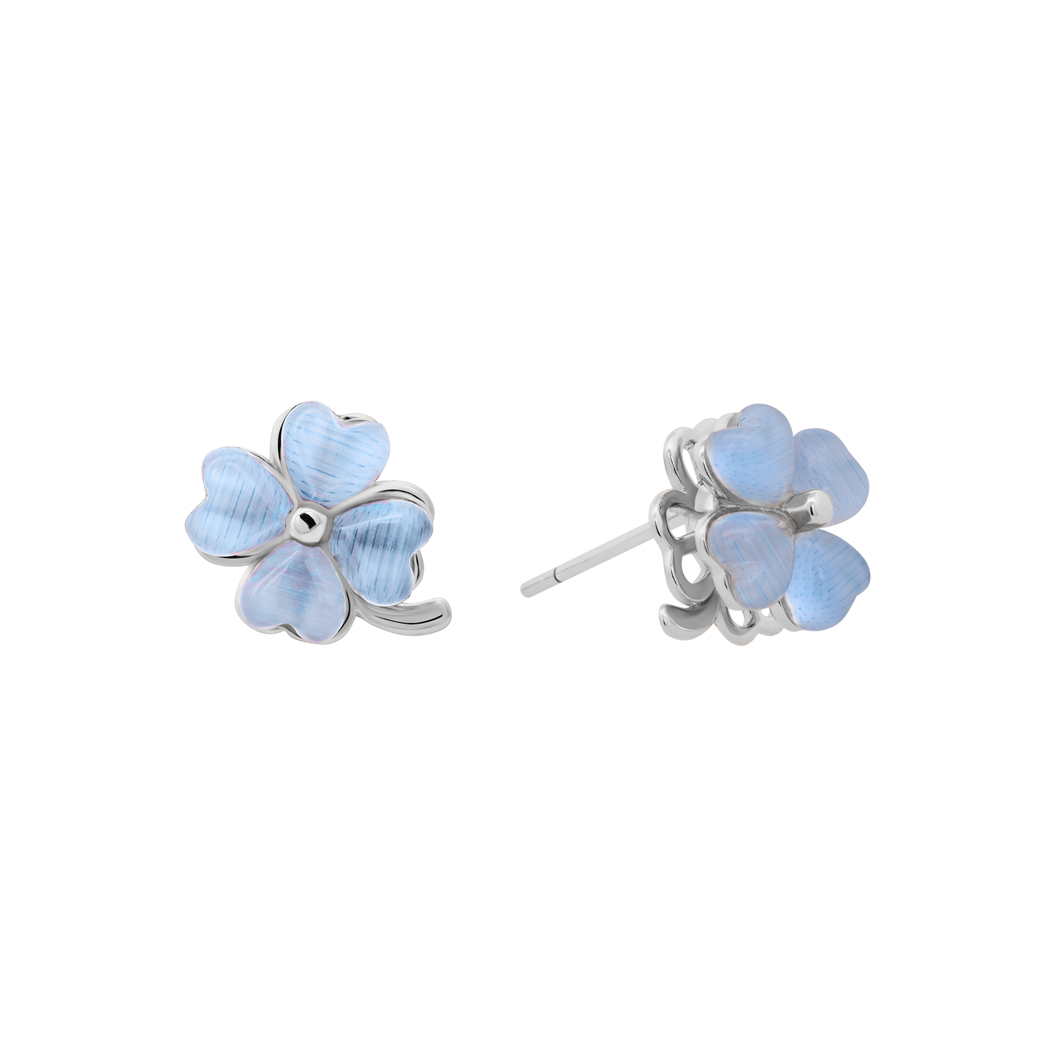 Blue Clover
