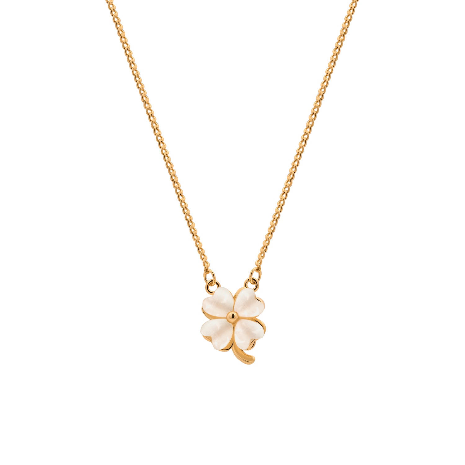 White Clover