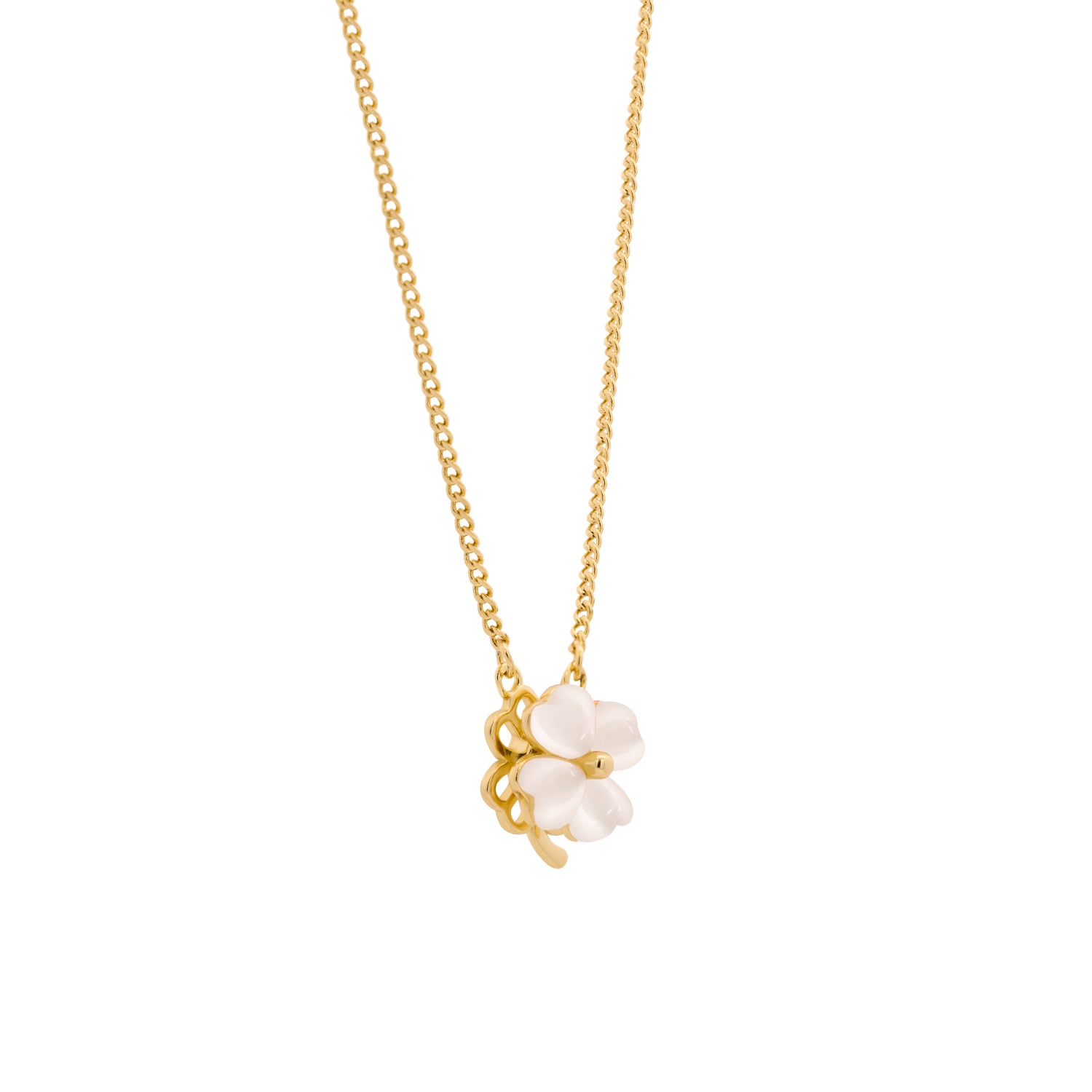 White Clover