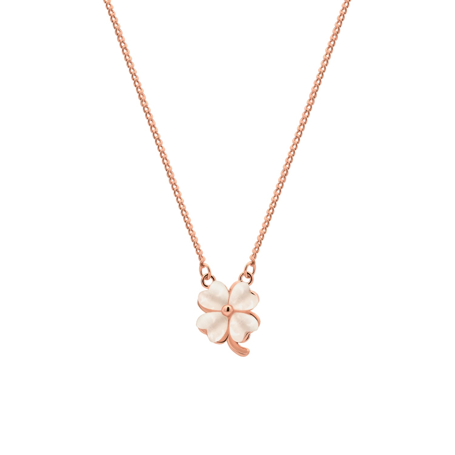 White Clover