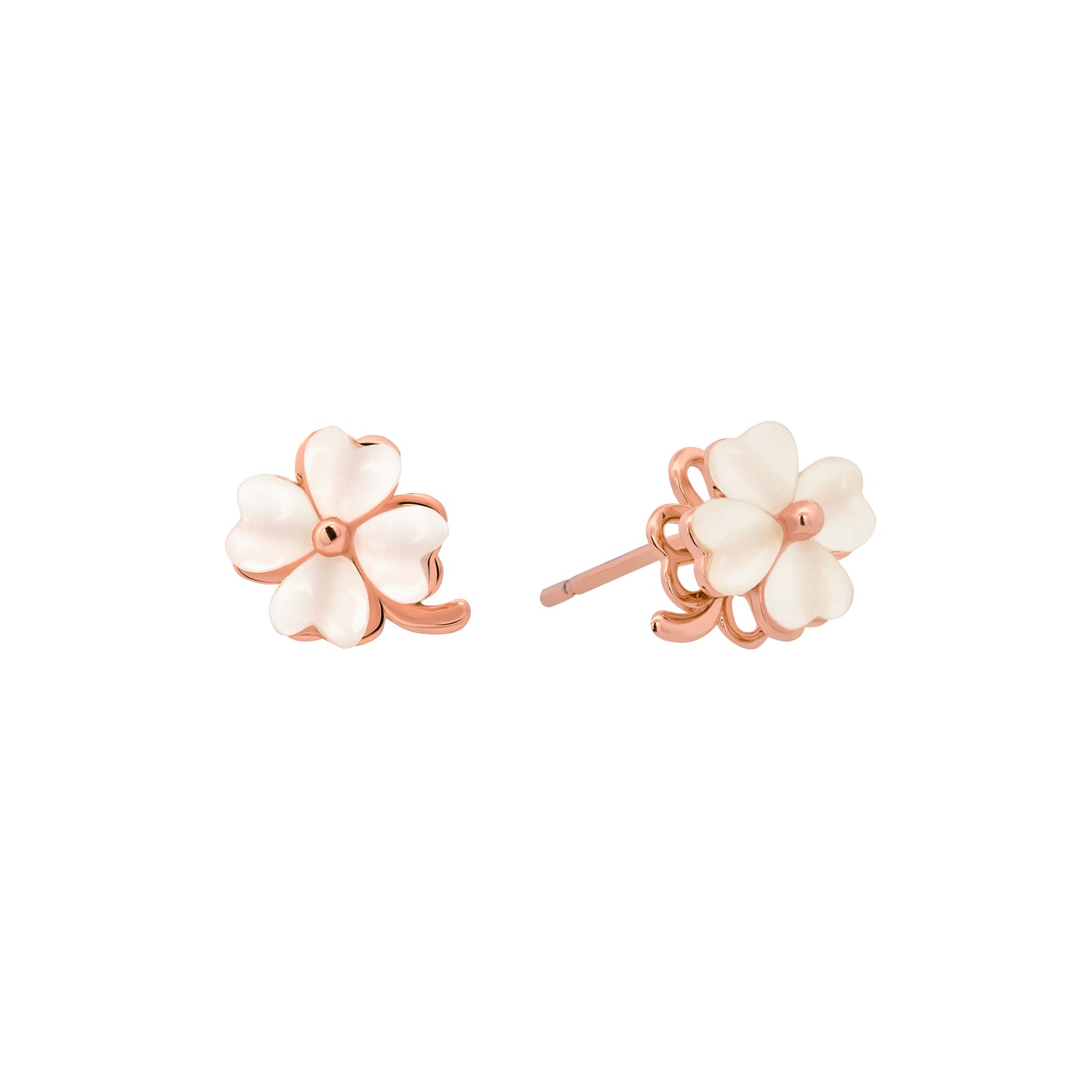 White Clover