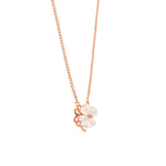 White Clover