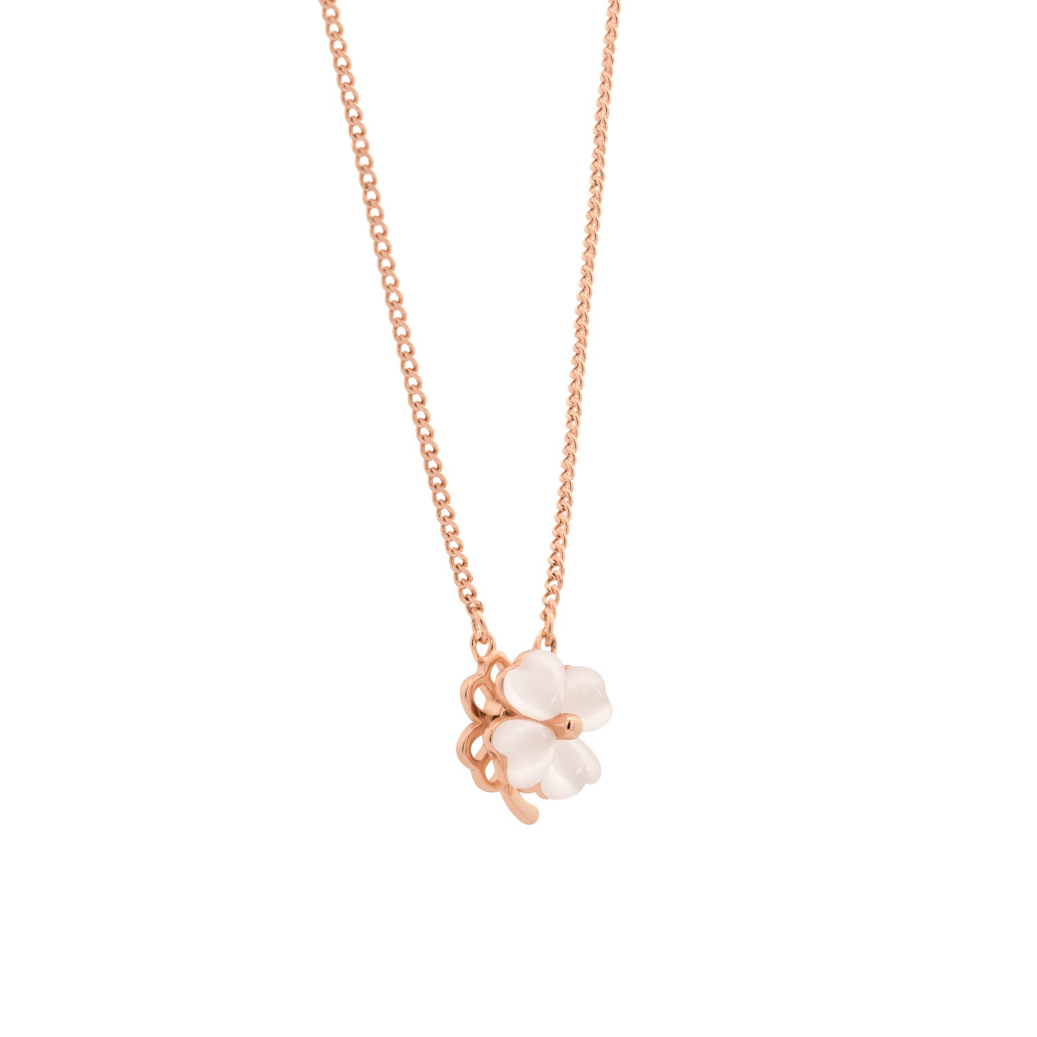 White Clover