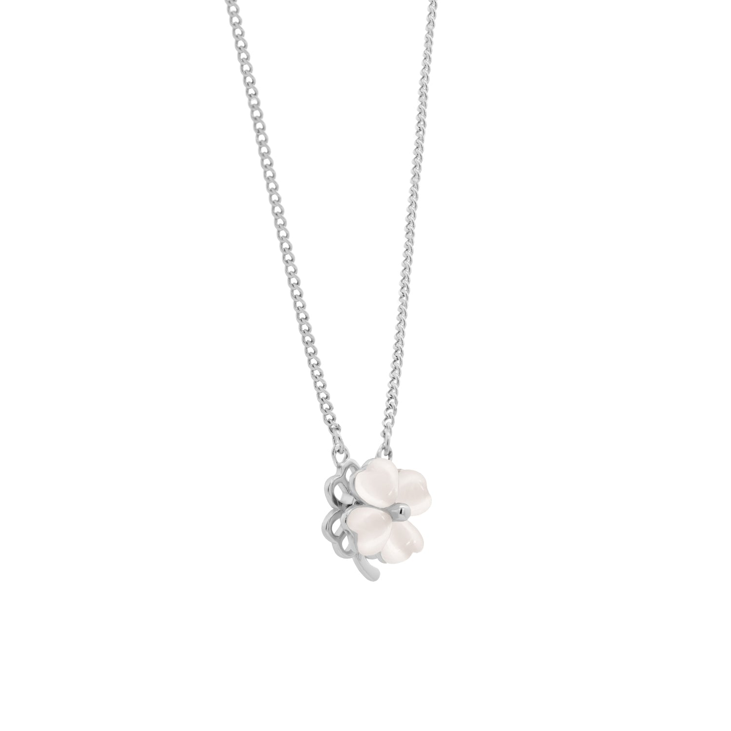 White Clover