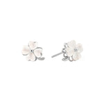 White Clover